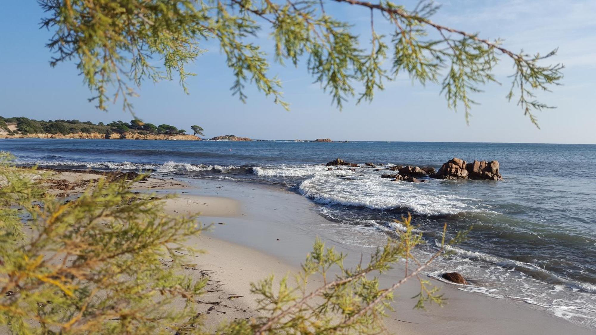 Locations Residence Rocca Rossa Palombaggia Classees 3 Etoiles Porto-Vecchio  Ngoại thất bức ảnh