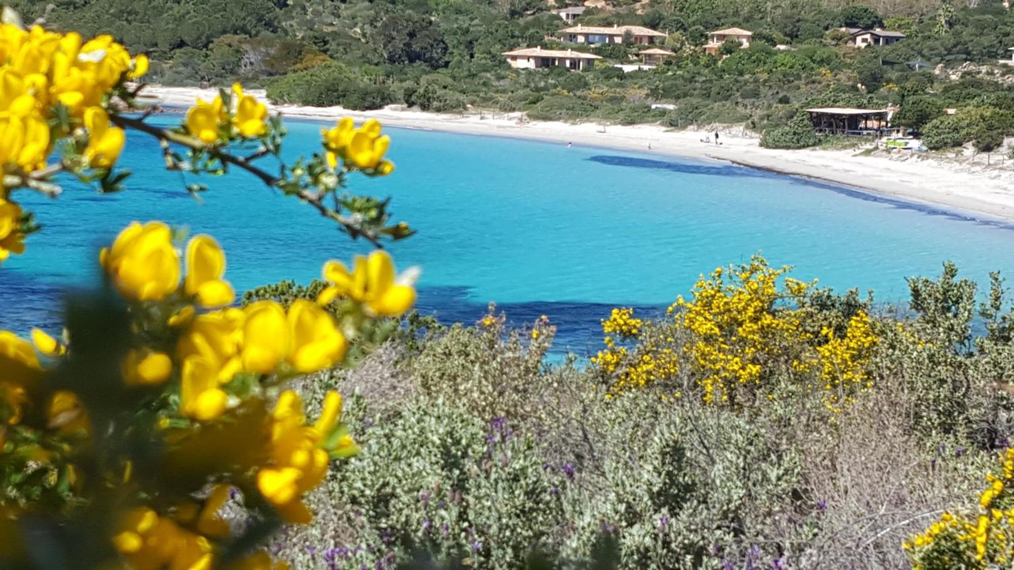 Locations Residence Rocca Rossa Palombaggia Classees 3 Etoiles Porto-Vecchio  Ngoại thất bức ảnh